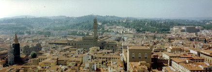 [Florence Panorama]