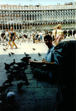 [Woodley's Pidgeons in Piazza San Marco]