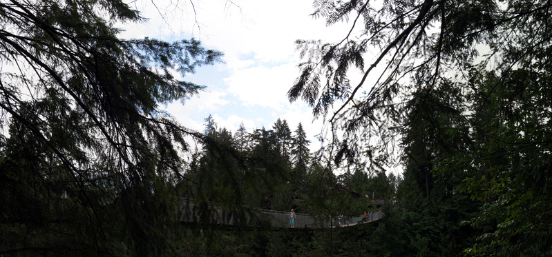 [The Capilano Suspension Bridge]