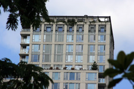 [Trees Growing Atop Apartments]