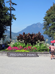 [Prospect Point]