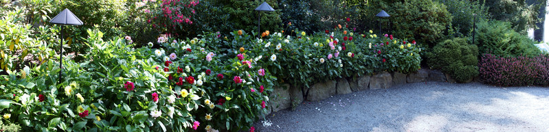 [Flowers at the Fountain Overlook]