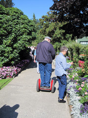 [Old Man on a Scooter]