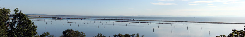 [Coastline at UBC]