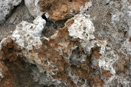 [Close-Up of Tufa]