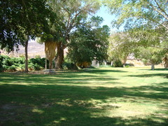 [Picnic Area Near the Road]