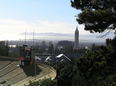 [The Campanile and Berkeley]