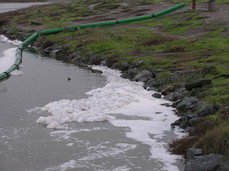 [Disgusting Foam at an Artificial Tidepool Pump]