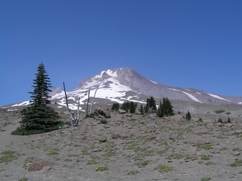 [Mt. Hood]