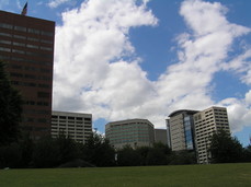 [Portland's Waterfront]