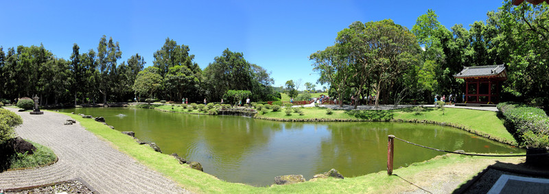 [Pond and Animals]