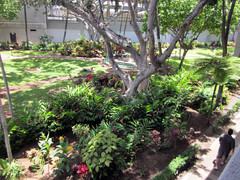 [Garden Courtyard in the Airport]