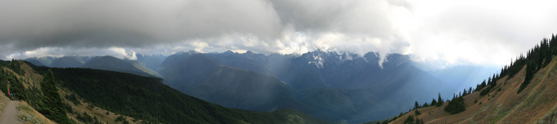 [Hurricane Ridge Trail]