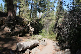 [Partially Collapsed Lava Tube Entrance]