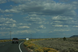 [Note the Yellow Curb Bushes]