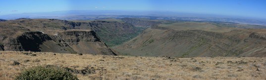 [Looking Westward Towards Frenchglen]