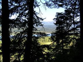 [Tree-Shrouded View of the Columbia River Gorge]