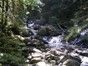 [Rocks and a River]