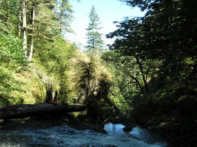 [Top of Triple Falls]