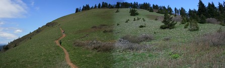 
		Summit of Dog Mountain
		