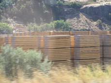 [Lumber Stacks]