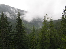 [Big Valley, from the Top of the Chute]