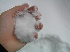 [My Second Snowball]