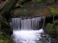 [Log Waterfall]