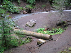 [Non-Bridge Over the Muddy Fork of the Sandy River]