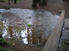 [Narrow Bridge and Creek]