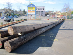 [Telephone Poles at Abandoned Restaurant]