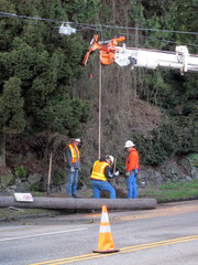 [Removing the Old Pole Stump]