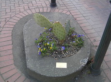 [Smallest Park in N. America]