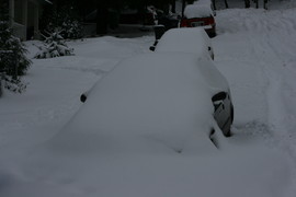 [Buried Cars]