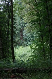 [Used to be a railroad trestle here]