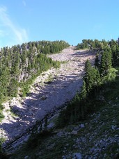 [Ski Path?]