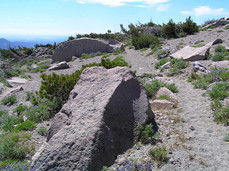 [Rocks and Gravel Trail]