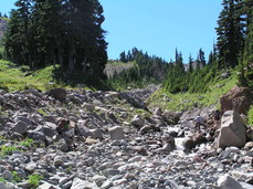 [Eliza, Dave and Justin Crossing the Creek]