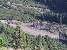 [Muddy River Bank and Lunch Point]