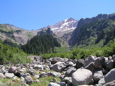 [Looking East at Mt. Hood from the Muddy River]