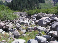 [Giant Boulders in the River's Path]