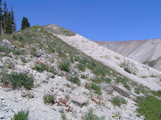 [Eroded Glacier Walls West of Zigzag Canyon]