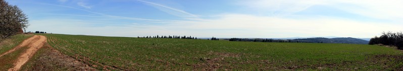 [Field South of McCall Point]