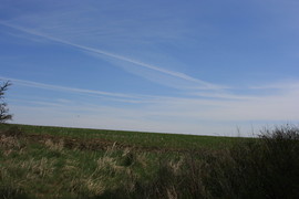 [Possibly Abandoned Field]