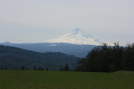 [Mt. Hood]