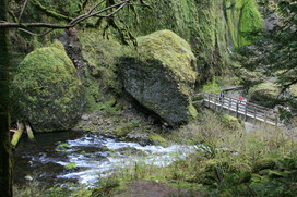 [End of Tanner Creek Trail]