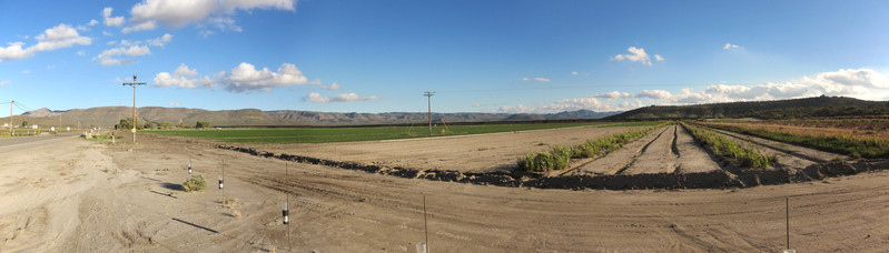 [Mexican Border]