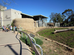 [Elephant Feeding Time!]