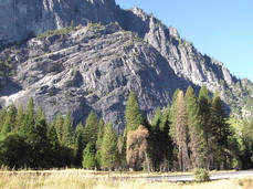 [Morning Meadow Panorama, Frame 0]